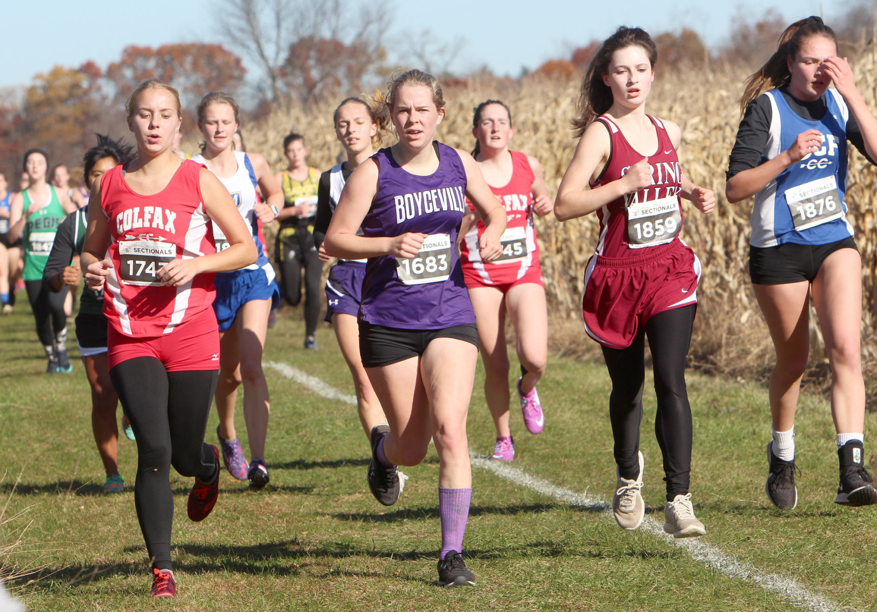 Division 3 Cross Country Sectionals in Boyceville 10-26-19